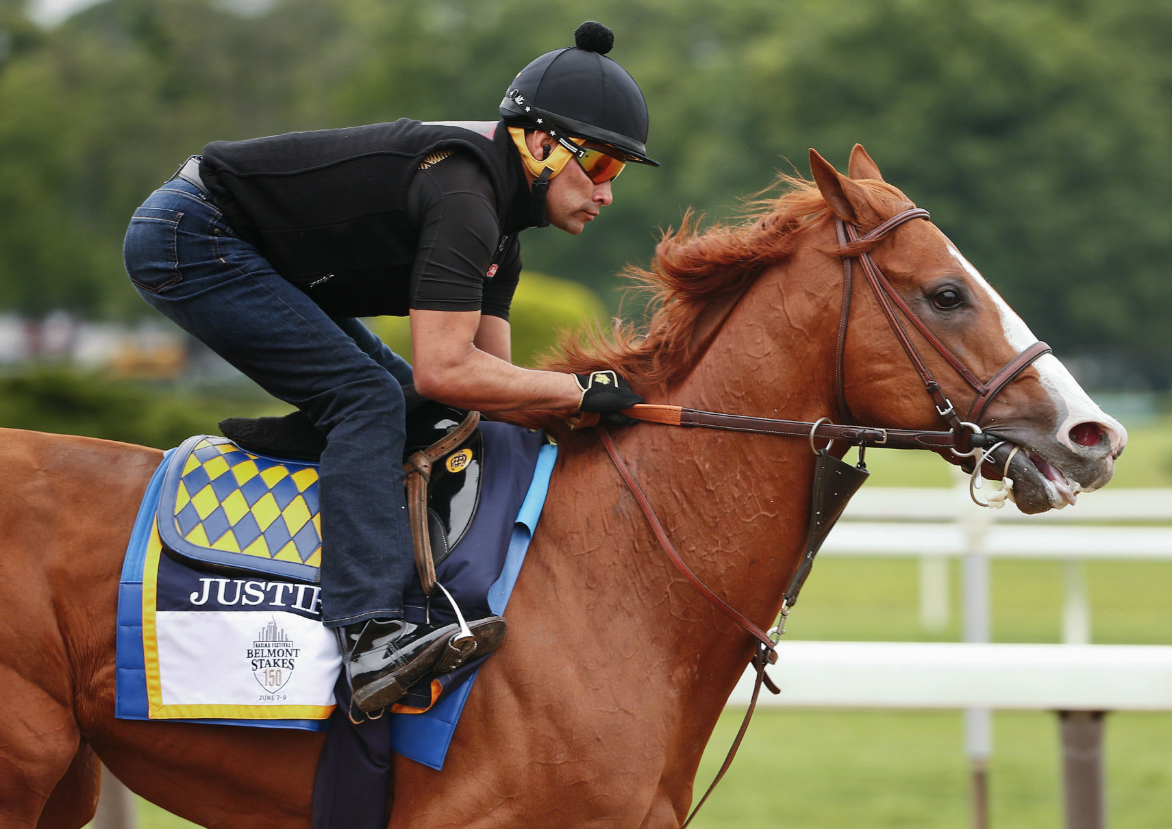 Belmont Stakes Horse Racing
